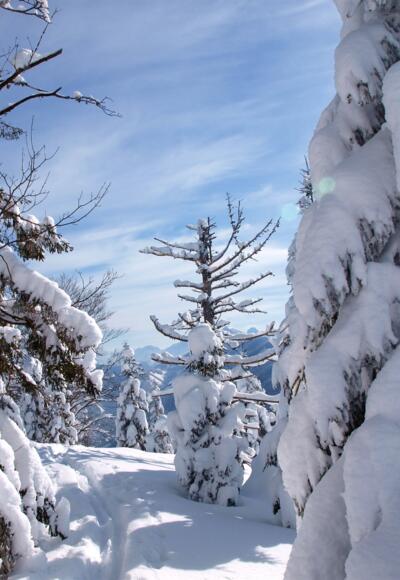 Am tief verschneiten Gipfelplateau 1433 m