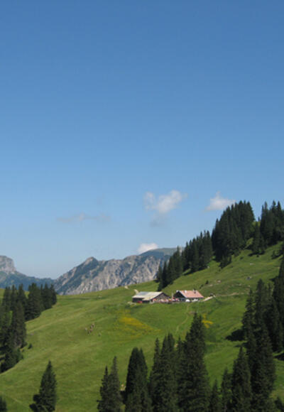 Nesselwängler Edenalpe