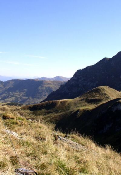 Bischof 2127m