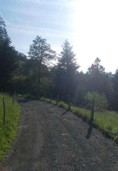 Im Schwendevorsäß bei Schetteregg