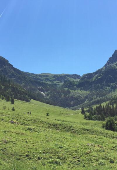 Bergpanorama mit Elfer und Kleinem Widderstein