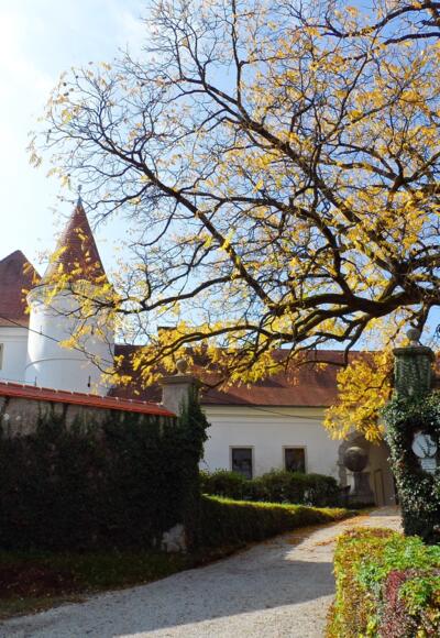 Schloss Salaberg