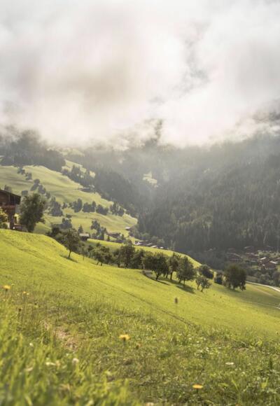 Alpbach Blick auf Erbhof