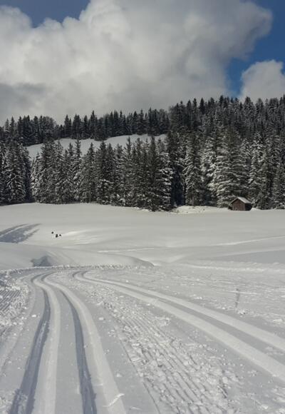 Hochmoor Loipe Hochhäderich
