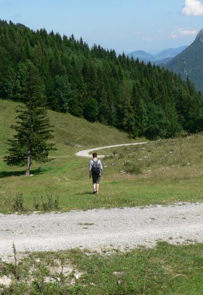 Der Weg führt immer geradewegs hinunter
