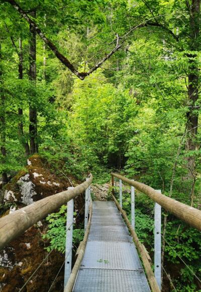 Brücke im Höhlenpark Bezau