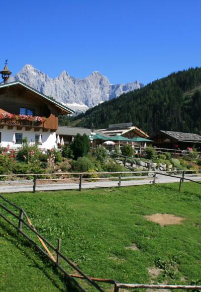 Mandlberggut