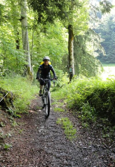 Mountainbiker im Mellental