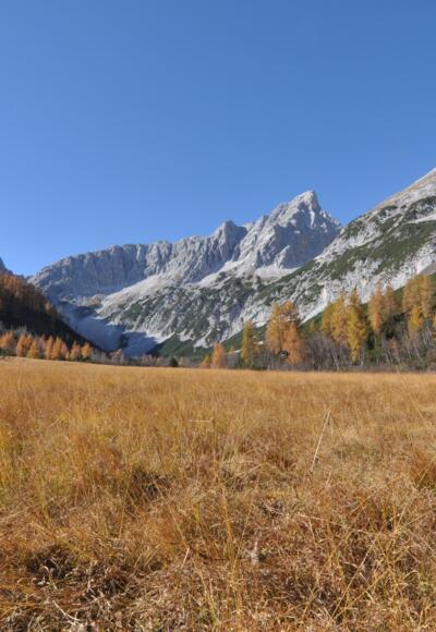 Der Issanger im Herbstkleid