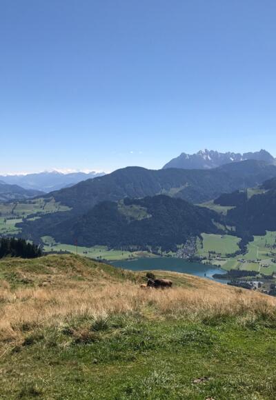 Aussicht vom Brennkopf auf den Wilden Kaiser