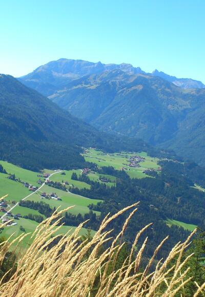 Blick in Richtung Tal auswärts - Brandenberg