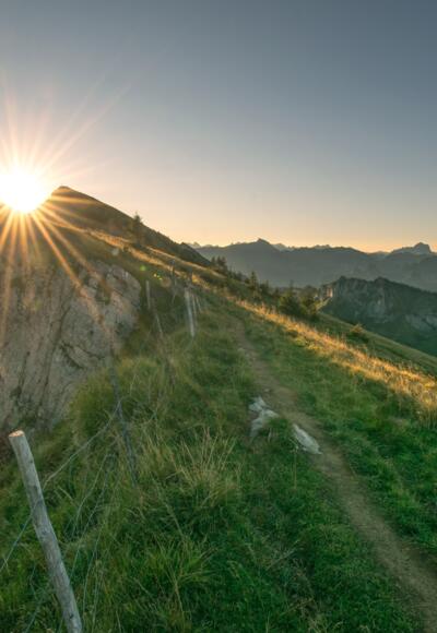 Auf dem Weg zur Winterstaude