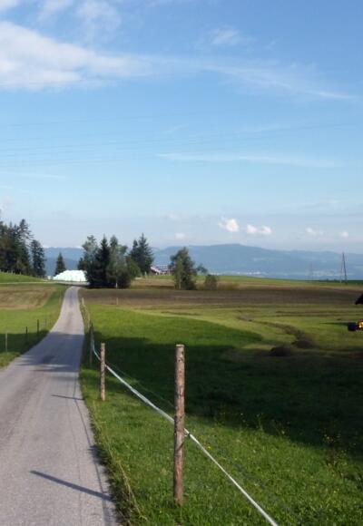 Alberschwende Greban