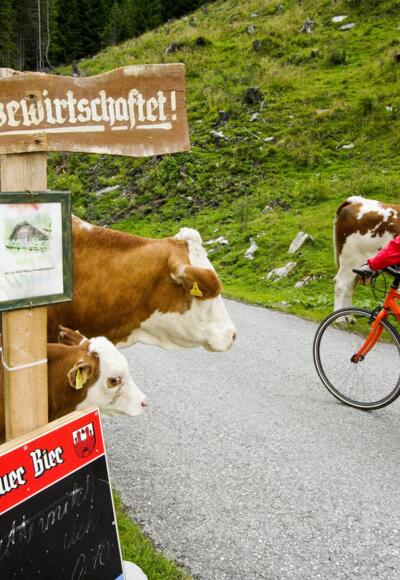 Unterwegs Richtung Murau