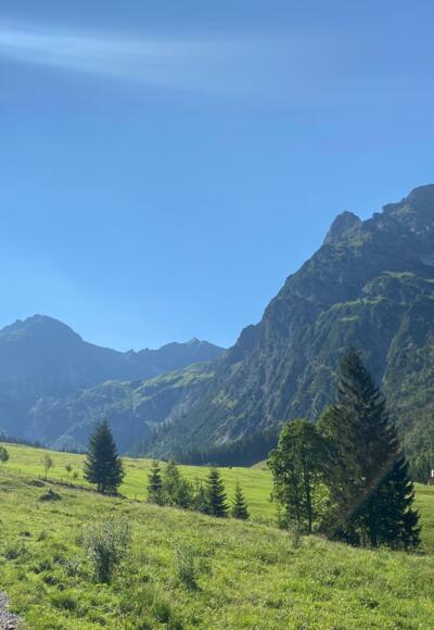 Weg zur Fluchtalpe