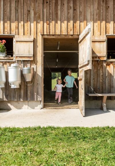 Kinder auf der Alpe Greußings Wildmoos