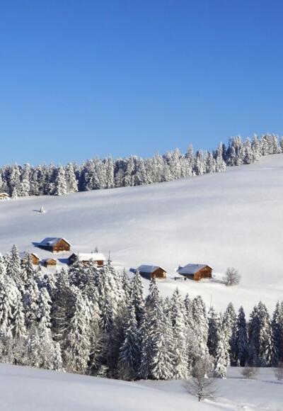 Vorsäß Oberer Geißkopf