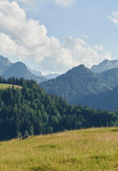 Wandern in Sibratsgfäll