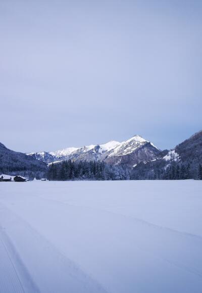 Langlaufloipe Kanis in Mellau