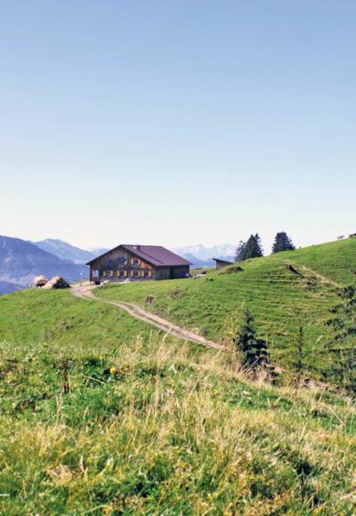 Alpe Hochleckach