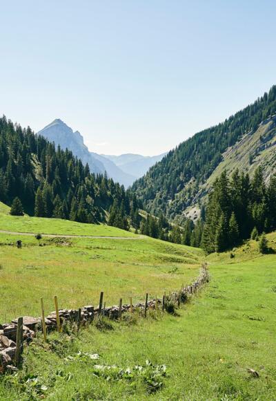 Auf dem Stogger Sattel