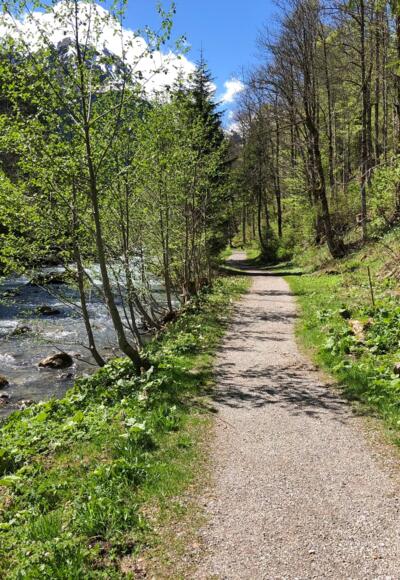 Wanderweg an der Breitach