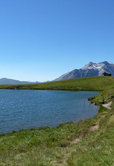 Der schöne Lichtsee eingebettet in sanfte Hügellandschaft