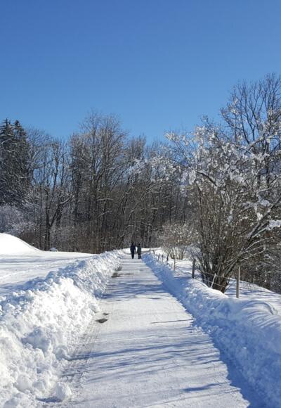 Winterwanderweg Egg
