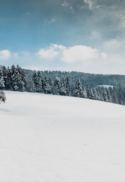 Winterlandschaft Sulzberg