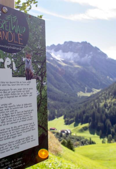 Station drei des Haspelwaldwegs