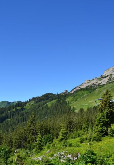 Blick auf den Ifen