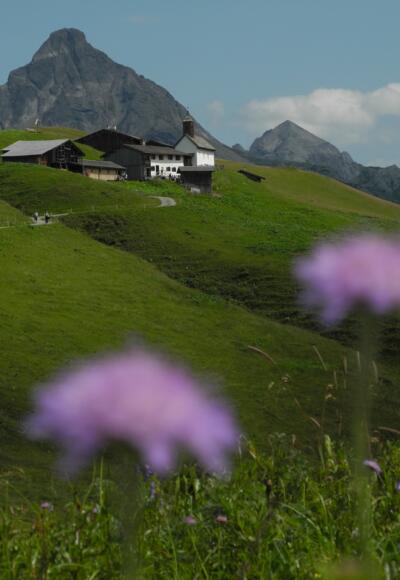 Bürstegg