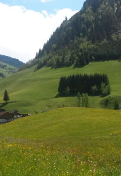 Spaziergang Wörtherberg
