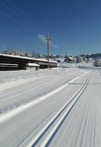 Loipe im Nordic Sport Park in Sulzberg
