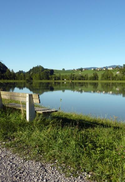 Stausee Andelsbuch