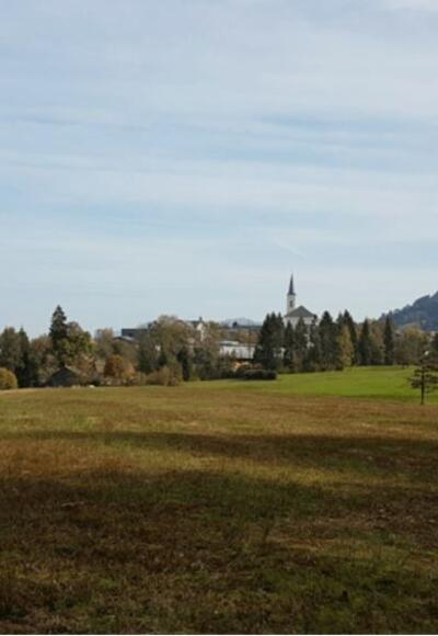 Blick vom Schollomoos auf die Kirche Alberschwende