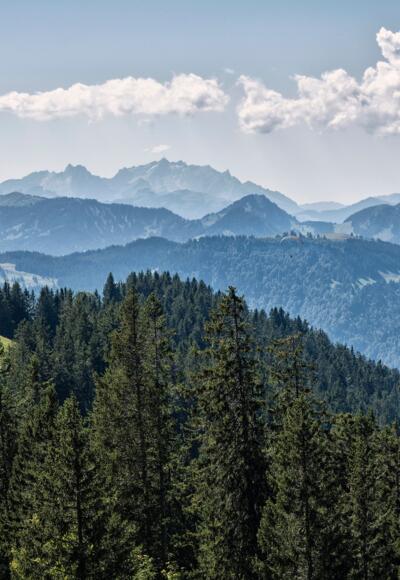 Ausblick von der Niedere