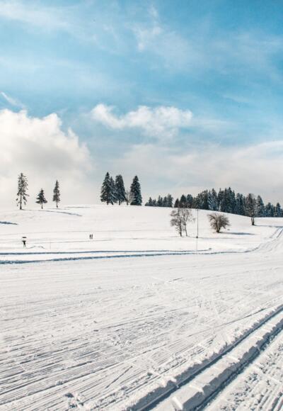 Loipe und Winterwanderweg Sulzberg