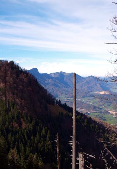 Großer Spitzberg 1396m vom Kleinen gesehen