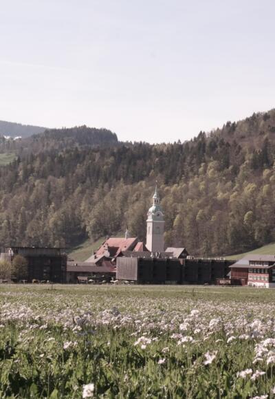 Blick auf das Dorfzentrum Bezau