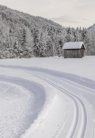 Winterwandern Richtung Enge Vorsäß in Mellau