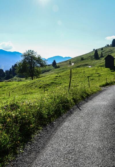Wandergebiet Egg-Schetteregg