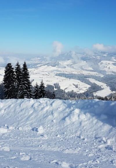 Rodelbahn Brüggelekopf, Alberschwende