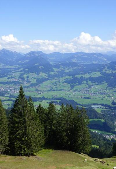 Panoramablick vom Hochälpelekopf