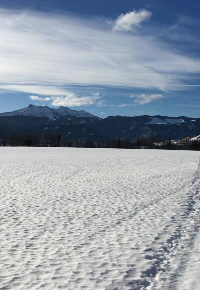 Langlaufloipe Egg/Großdorf