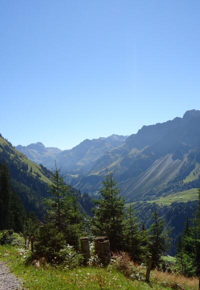 Blick in die Bergwelt während dem Anstieg auf den Diedamskopf