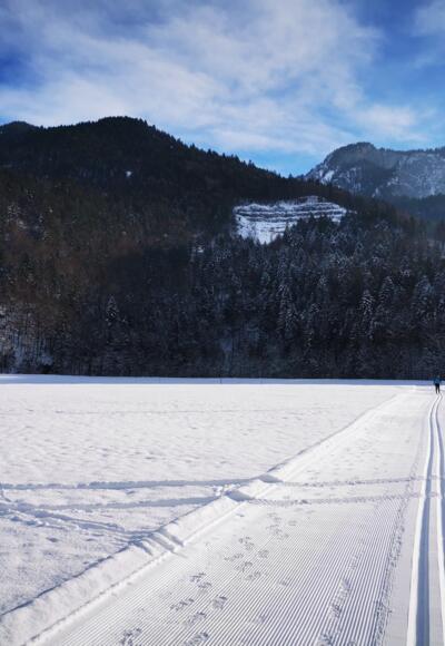 Langlaufloipe Mellau Enge