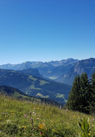 Aussicht in den Bregenzerwald auf Baumgarten