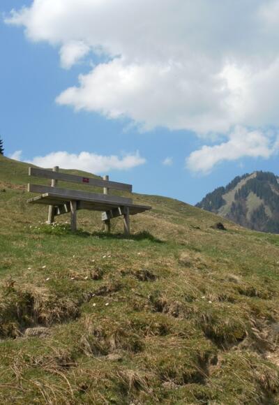 Von Sibratsgfäll nach Schönenbach