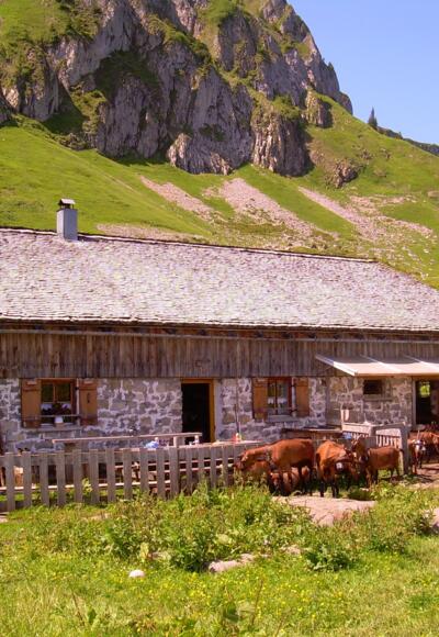 Ziegenalpe Wölflersgunten